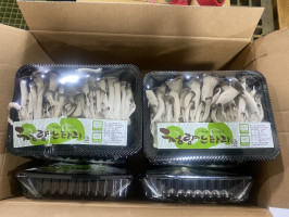 맛느타리(10입)/박스 상품 썸네일