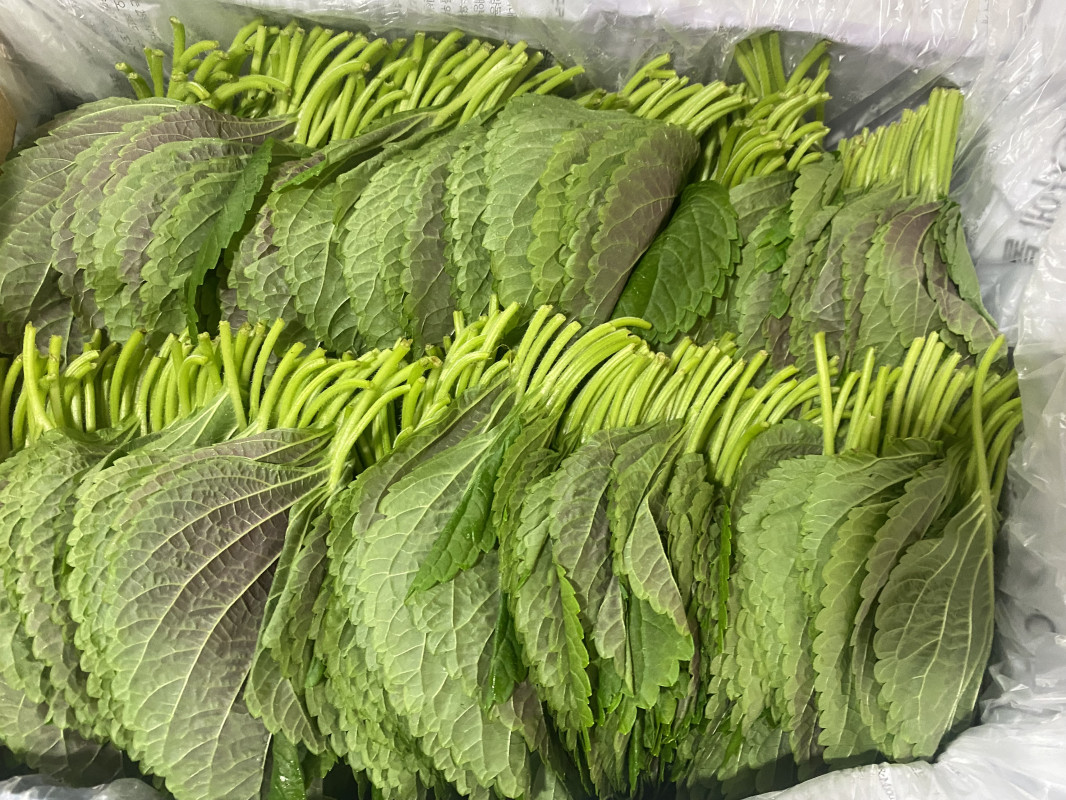 찹찹이깻잎(특) 1kg/박스 상품 썸네일