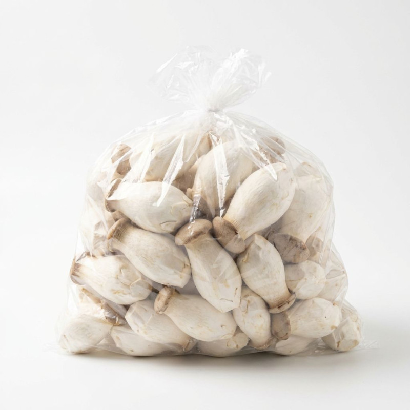 콩알새송이버섯 2kg/봉 상품 썸네일
