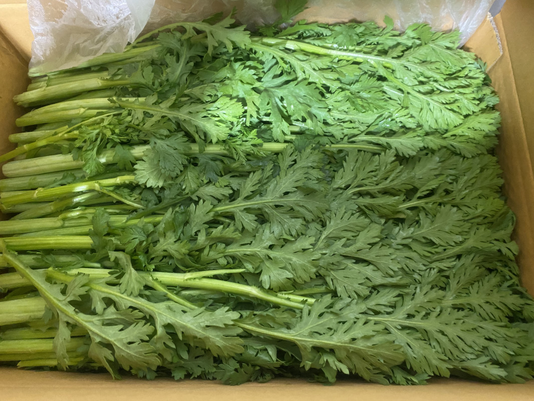 쑥갓(특) 4kg/박스 상품 썸네일