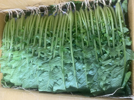 열무(특) 4kg/박스 상품 썸네일